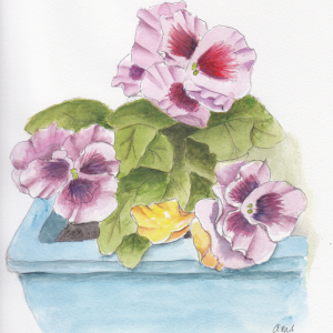 20240829Sk8 Pansies in Window Box.png