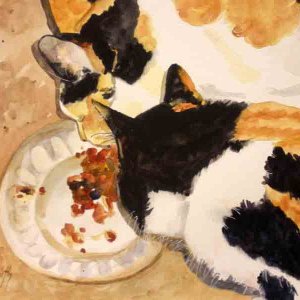 Calicos Eating Pie.jpg