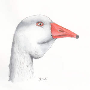 20241212Sk8 Greylag Goose (WDE 12-13-24).png