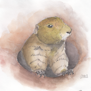 20241231Sk8 Prairie Dog (WDE).png