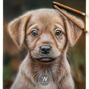 Puppy+pencil+logo.JPG