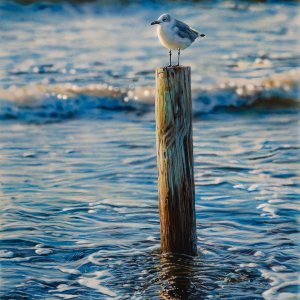 Media 'Johannes Wessmark-Sunrise in Galveston-20x16-Acrylic.jpg' in category 'Acrylics'