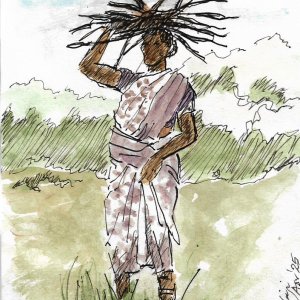 Gathering Firewood - ink and wash.jpg