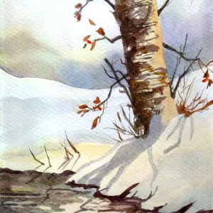 Media 'Tree by Snowy Stream.jpg' in category 'Journaling and Sketchbooks'