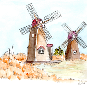 20250526Sk10 Windmills (WDE).png