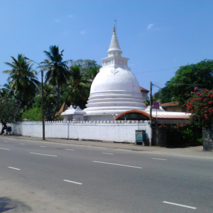 DSC_0103-sm.png