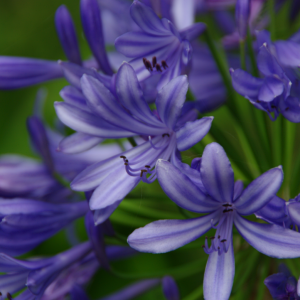 IMGP0395-sm.png