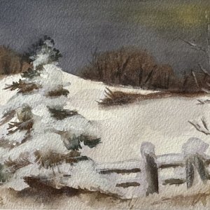 IMG_6224.jpeg