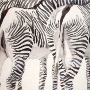 Striped Rears Zebras.jpg
