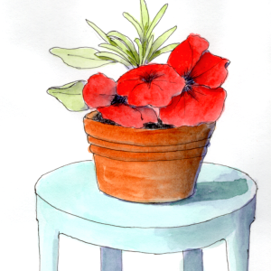 20250614Sk10 Red Petunias (WDE).png