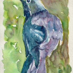 Crow.jpeg