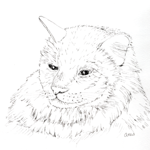 Media '20250630Sk10 Cat (WDE).png' in category 'Ink and Marker'