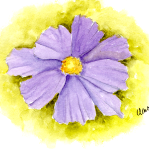 20250710Sk10 Cosmos (WDE).png