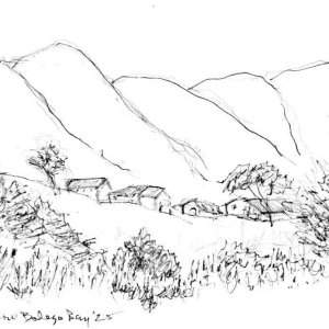 Bodega Bay 2025 farm skecth.jpg