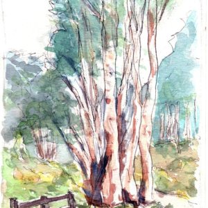 Quarry Park 25.jpg