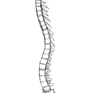 IMG_5402.png
