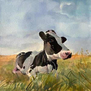 cow in grass.jpg