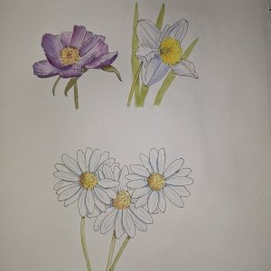 20250810 Flowers (WDE).jpg