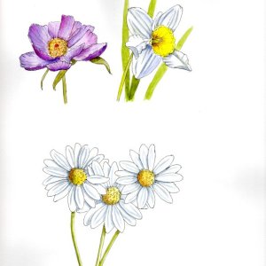 20250810 Flowersb (WDE).jpg