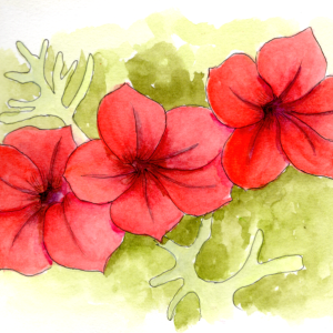 20250807Sk10 Red Petunias.png