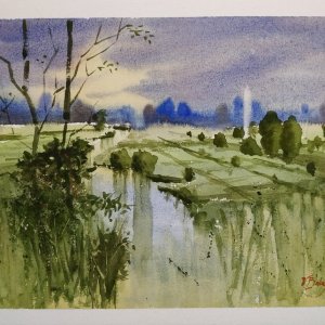 Meandering Stream.jpg