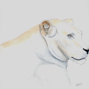 20250914Sk10 Lion (WDE).png