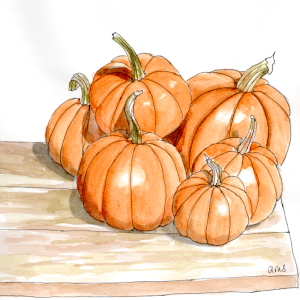 20250922Sk10 Pumpkins (WDE).png