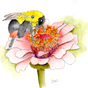 20250906Sk10 Gathering Nectar (PP).png