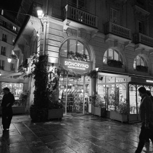 31. B&W at night.jpg