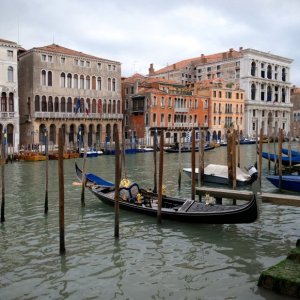 DSC_0133.jpg
