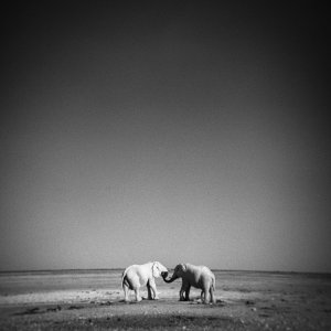 holga_21_009.jpg