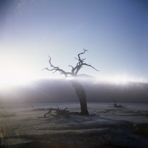 Holga_22_003.jpg