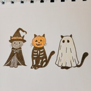 1760691909212.jpg