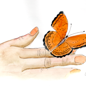 20251021Sk10 Butterfly on Hand (WDE).png