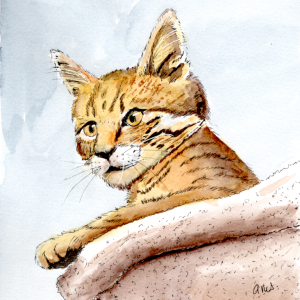 20251102Sk10 Puss in a Boot (WDE).png