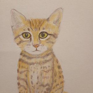 IMG_20250927_193448638_MFNR (1) (1).jpg