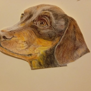 Screenshot_20250830-134054~2_1756560541175 (1).png