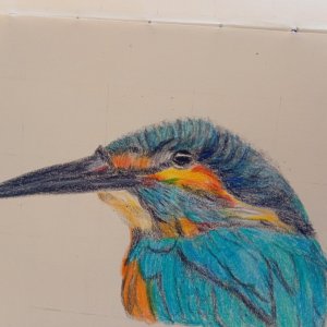 IMG_20250824_092536803_MFNR_1756049176018 (1).jpg