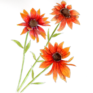 20251129Sk10 Red Flowers (WDE).png