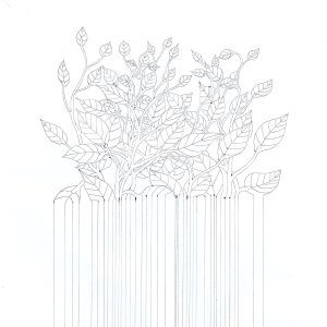 LEAVES AND LINES.jpg