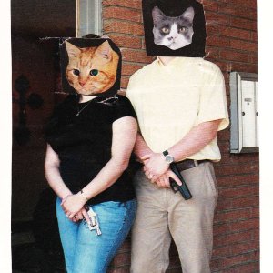 Cats with guns - Copy.jpg