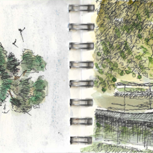 CS Mini Bridge Thread.png