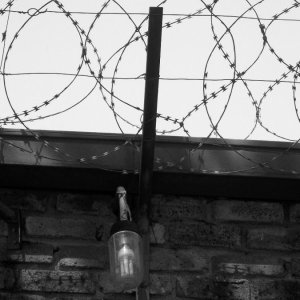 2016 d9y589m-6eea9a35-f918-4730-8198-5b345a30b9a3.jpg