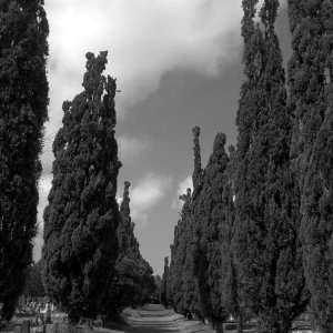 2016 d9yo3c0-3ea01aa3-986d-4a74-9898-7b276bbaadaa.jpg