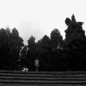 2017 db685ec-b6cbeab9-1787-4cae-8040-31fe51a61b4d.jpg