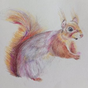 IMG_20250905_105024659_MFNR (1).jpg