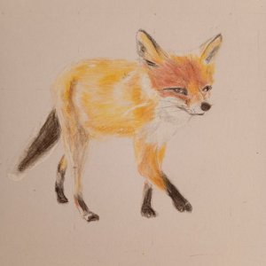 IMG_20251123_102900868_MFNR (1).jpg