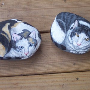 catrocks.jpg