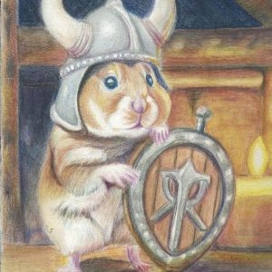 Viking Hamster Mar 2024.JPG