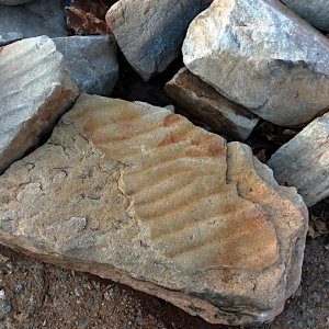 2021 Ripple patterns.jpg